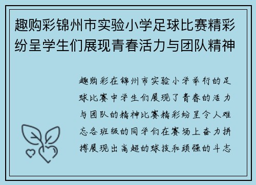 趣购彩锦州市实验小学足球比赛精彩纷呈学生们展现青春活力与团队精神